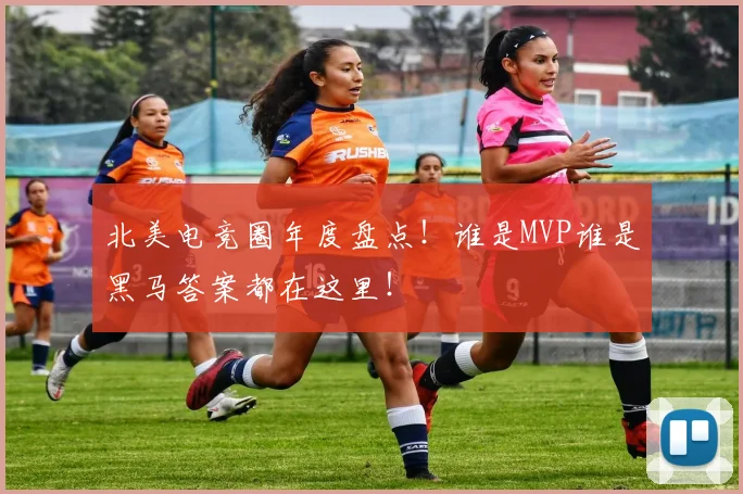 北美电竞圈年度盘点！谁是MVP谁是黑马答案都在这里！